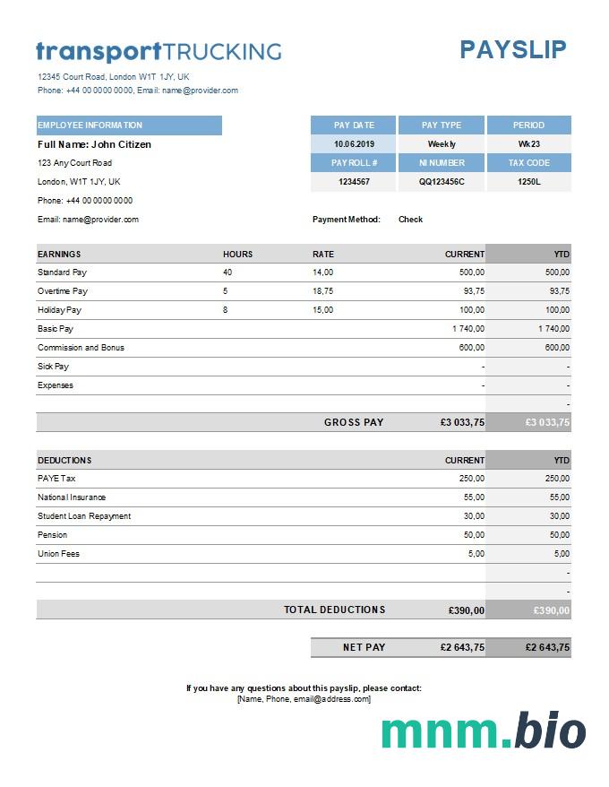 szablon listy płac firmy transportowej w formatach Excel i PDF